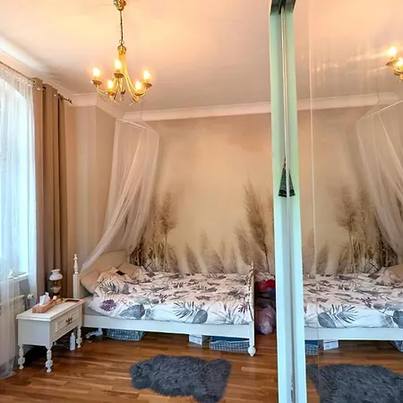 Vintage Vis-a-vis Park Tower 瓦乌布日赫