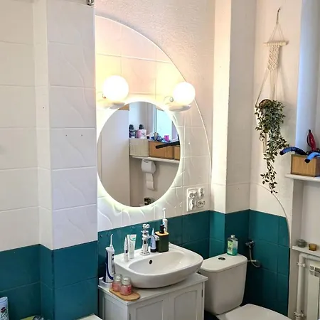 Vintage Vis-a-vis Park Tower 公寓 瓦乌布日赫